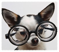 Animals044