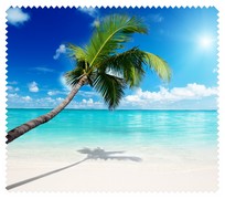 Summer030