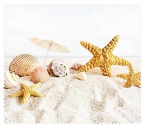 Summer050