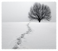 Winter004