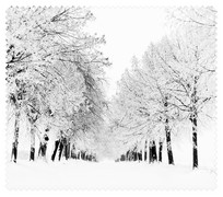 Winter005
