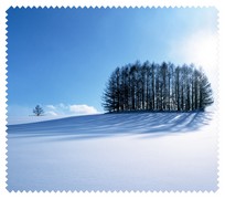 Winter008
