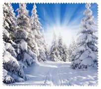Winter009