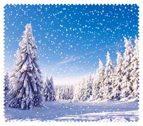 Winter010