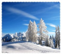Winter011