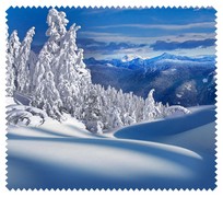 Winter012