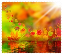 Autumn008