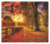 Autumn009