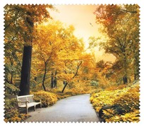 Autumn011