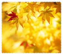 Autumn012