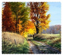 Autumn015