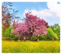 Spring001