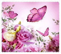 Spring003