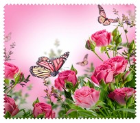 Spring004
