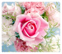 Spring006