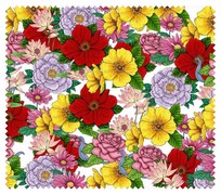 Spring011