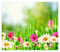 Spring013