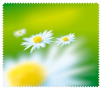 Spring014