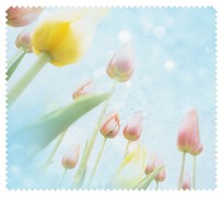 Spring022