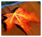 Autumn004