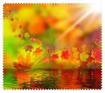 Autumn008