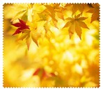 Autumn012