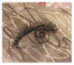 Eyes009
