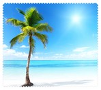 Summer032